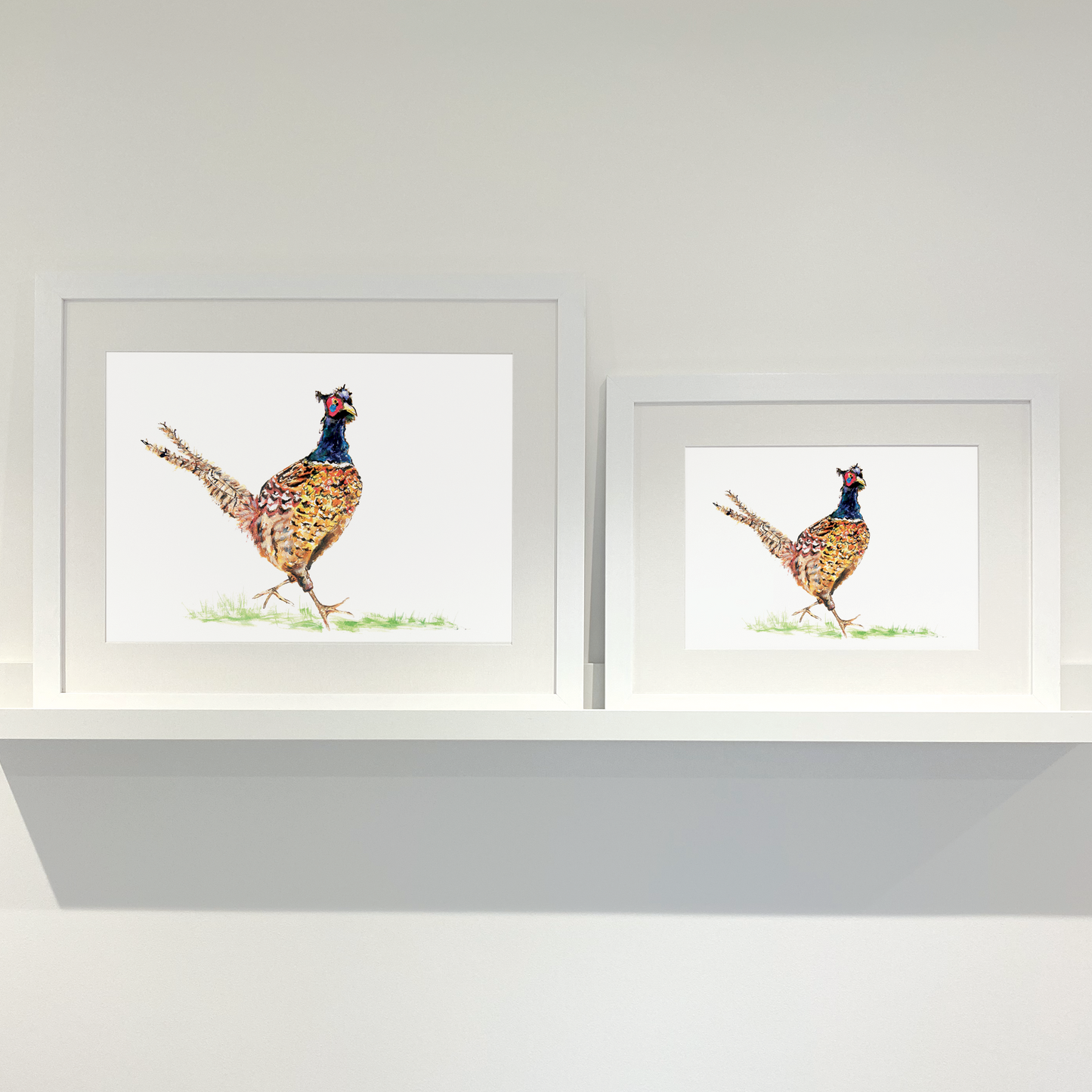 Jolly Pheasant