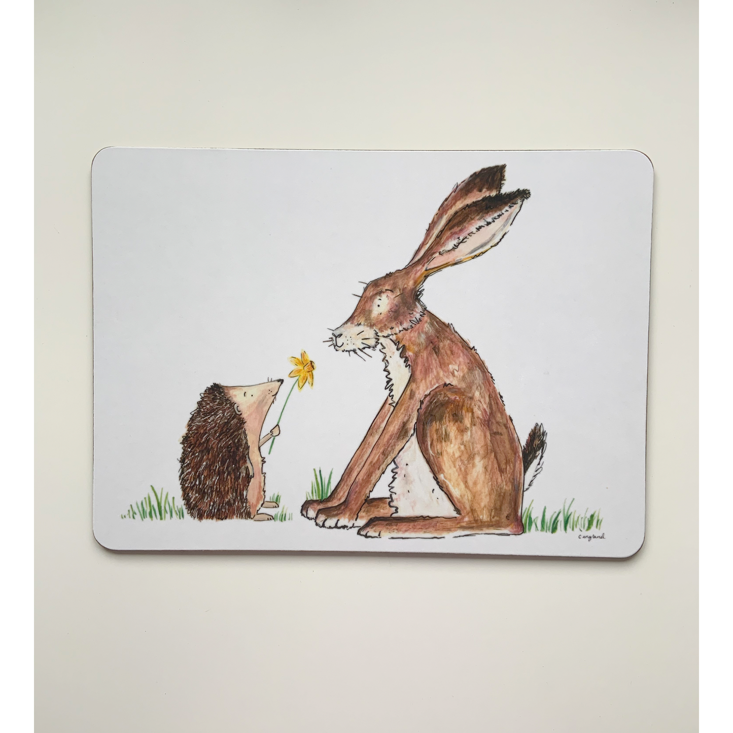 Friendship Placemats Pack of 4