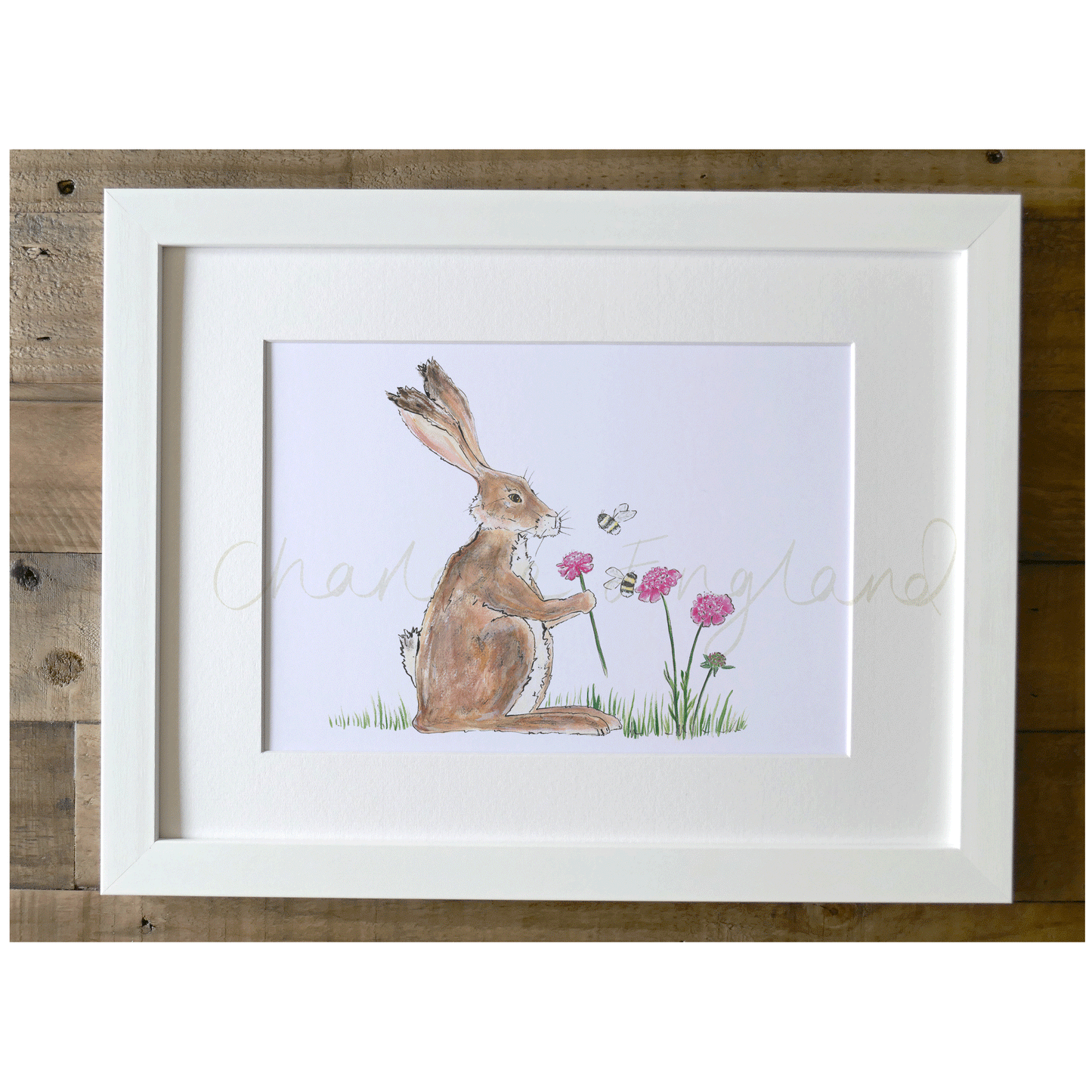 Harriet Hare