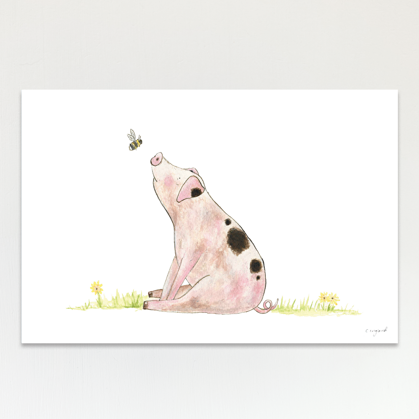 Pig