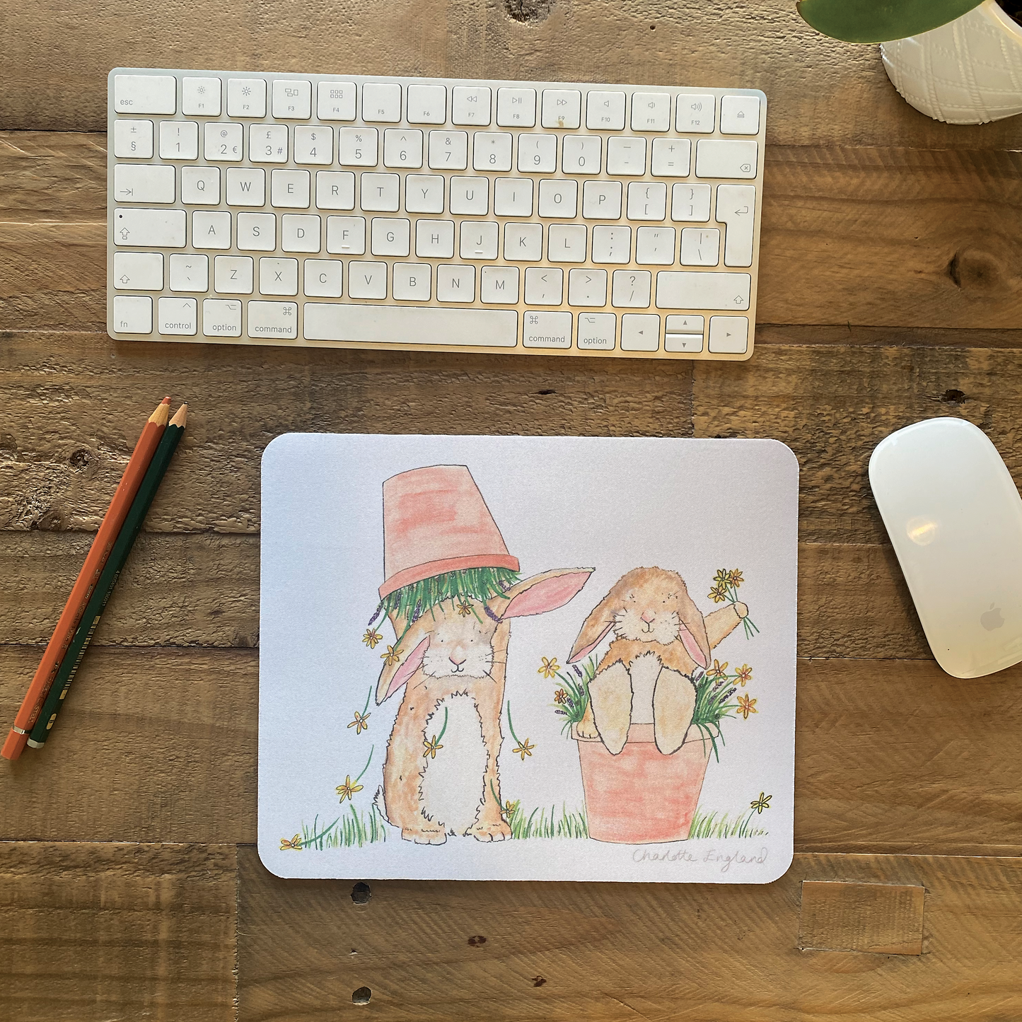 Bundles of fun Mouse Mat