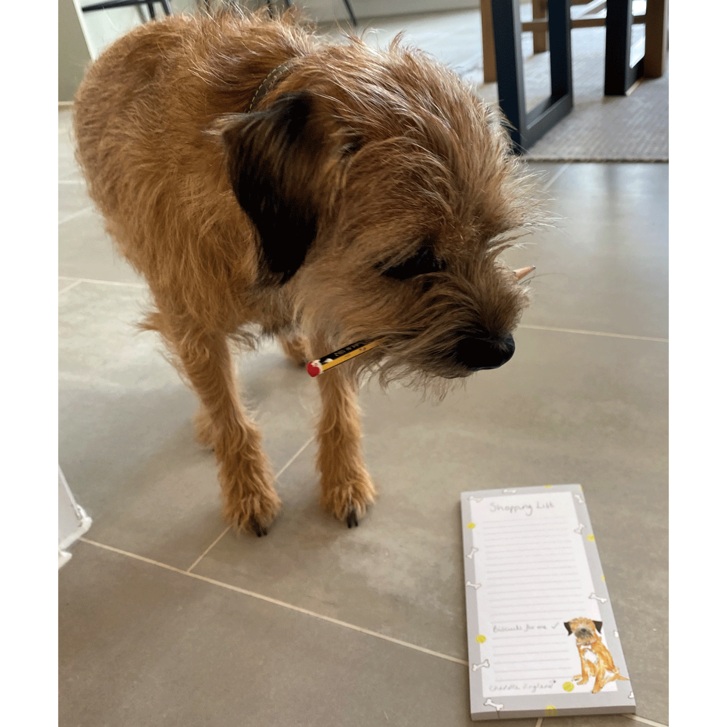 Border Terrier Shopping List Note Pad