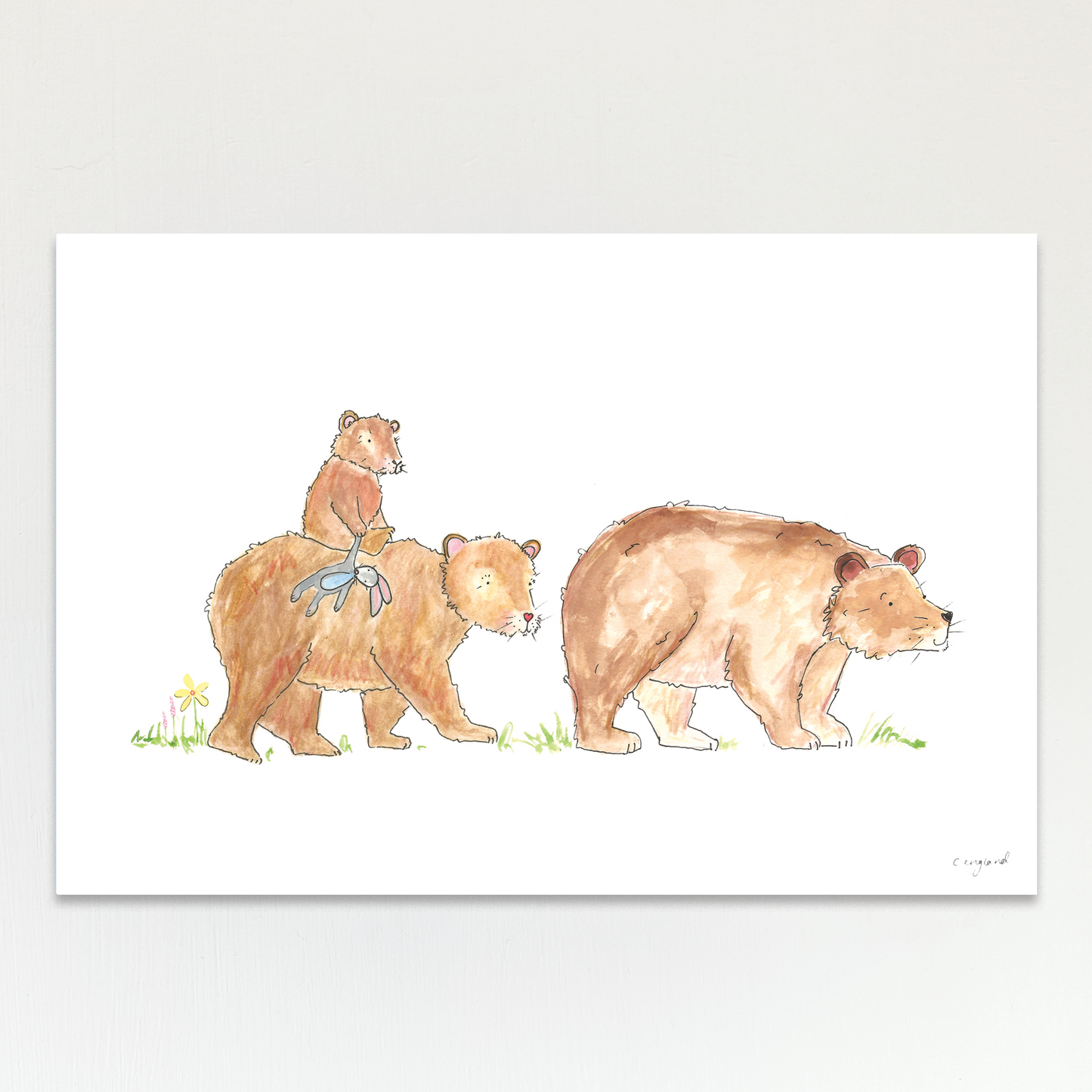 Bear Family