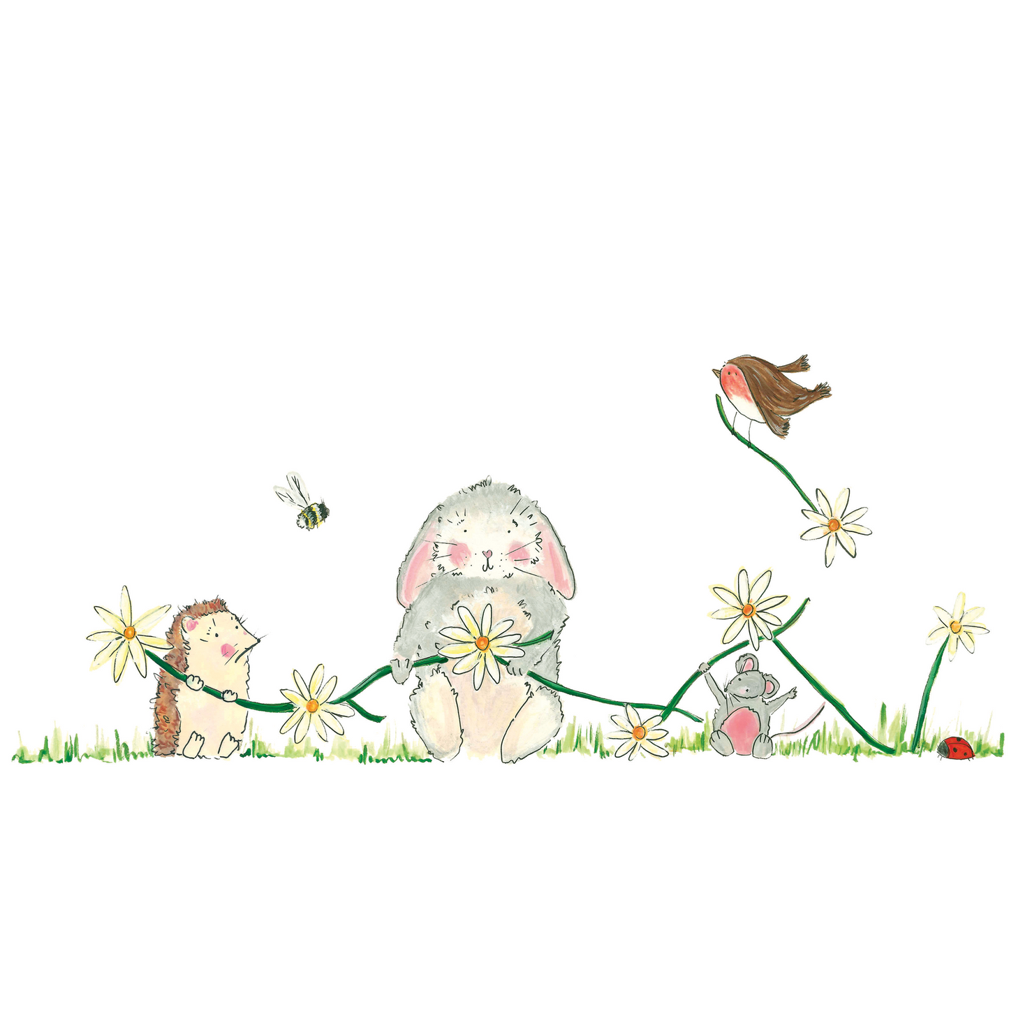 Daisy Chain