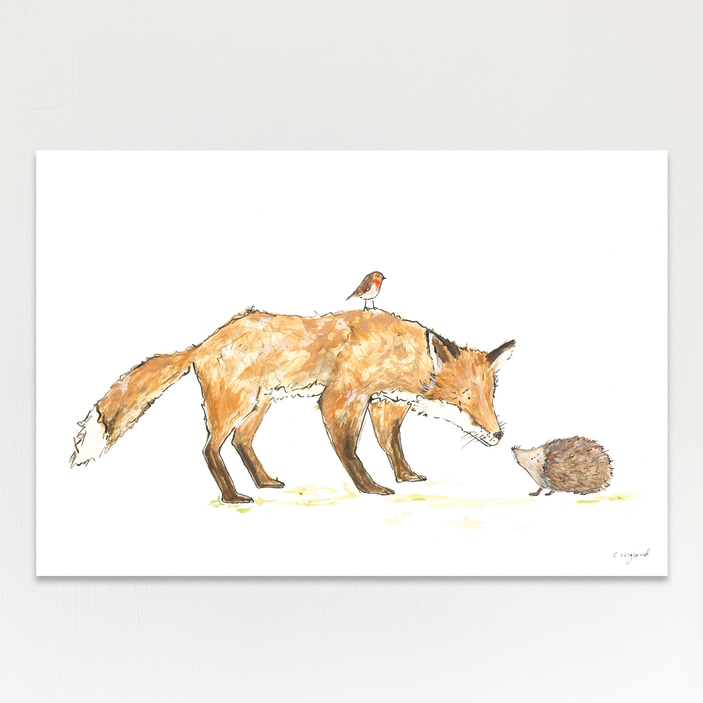 Fox and Friends