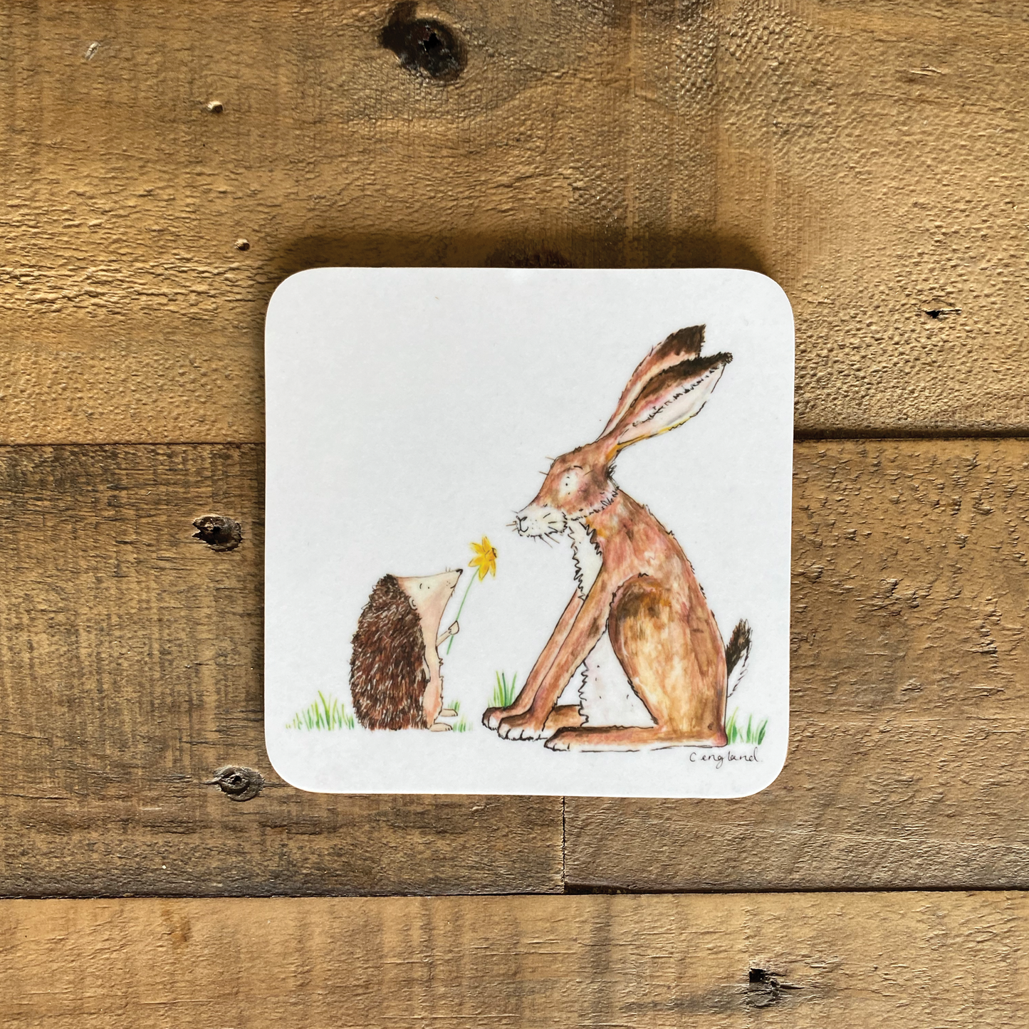 Friendship Coasters Pack of 4