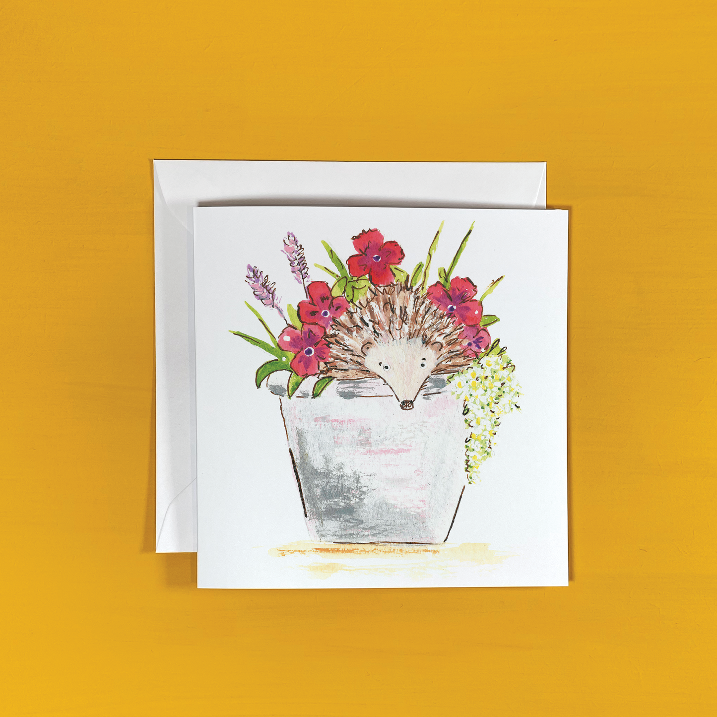 Hedgehog Card