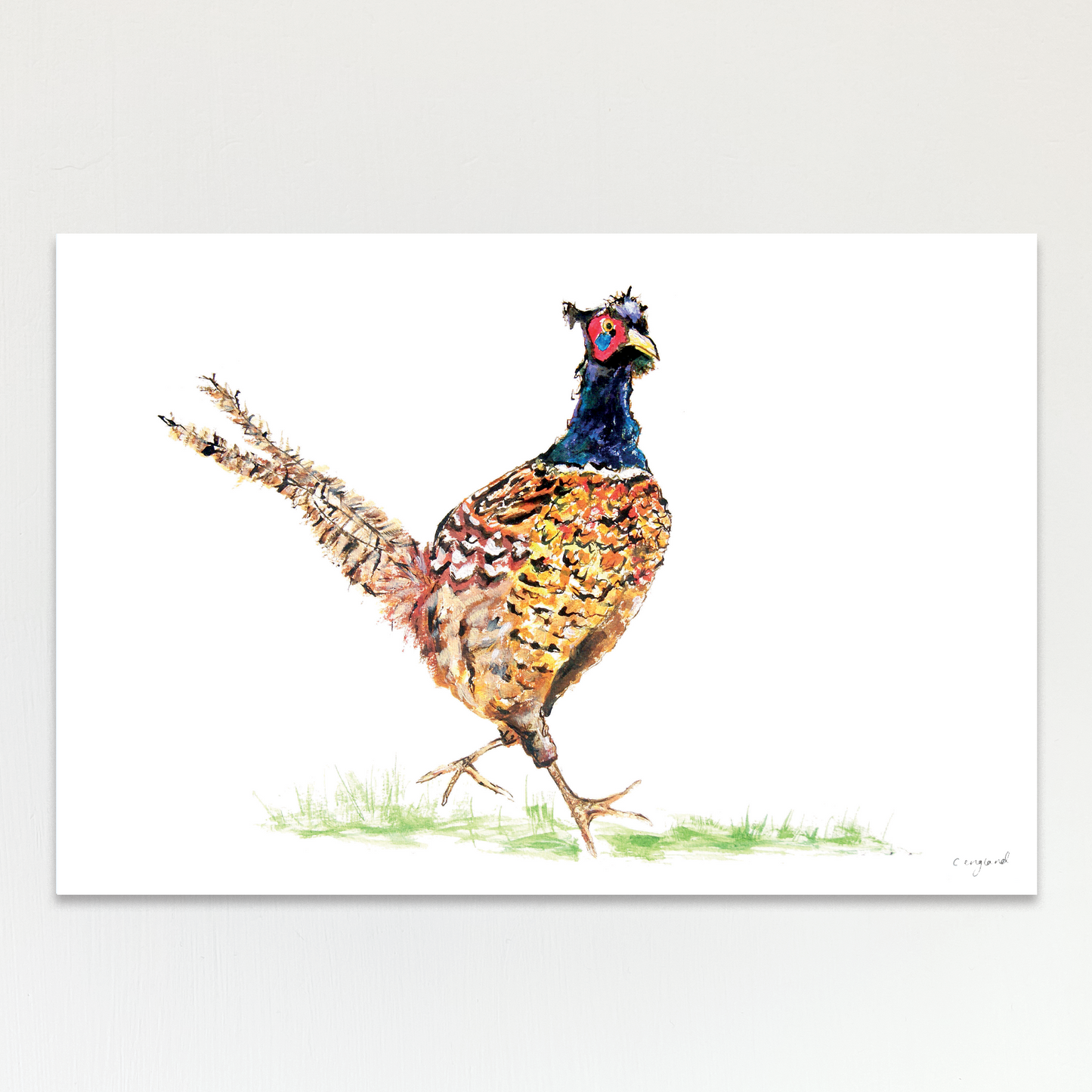 Jolly Pheasant