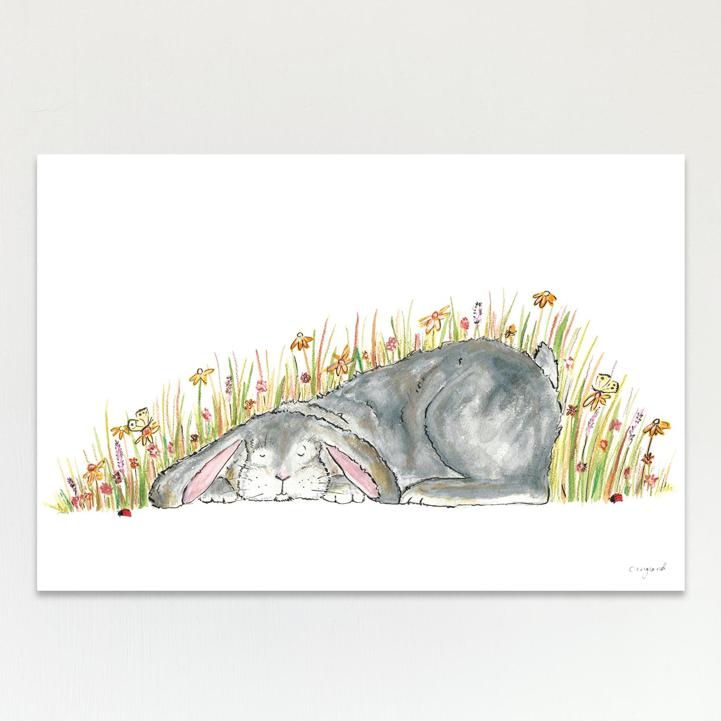 Meadow