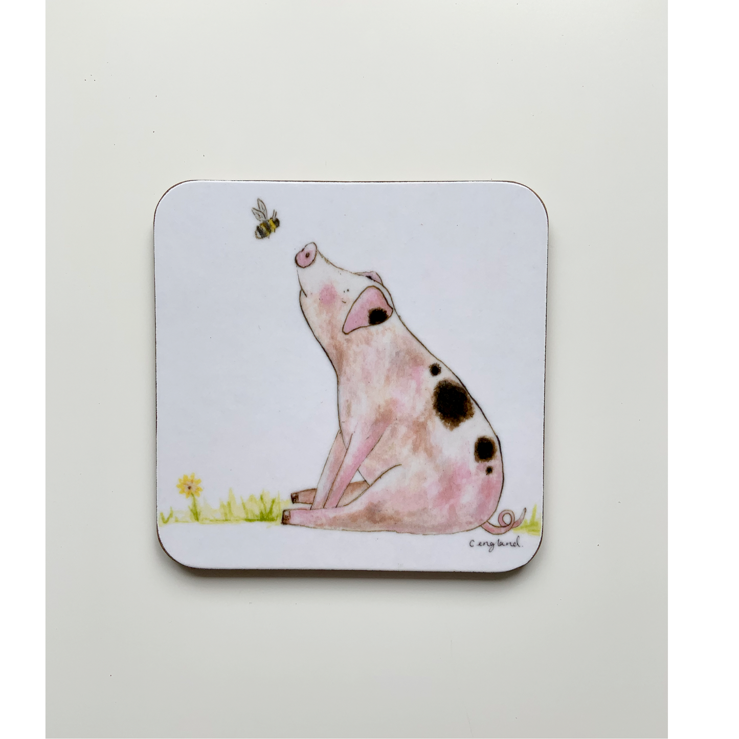 Pig Coasters Pack of 4