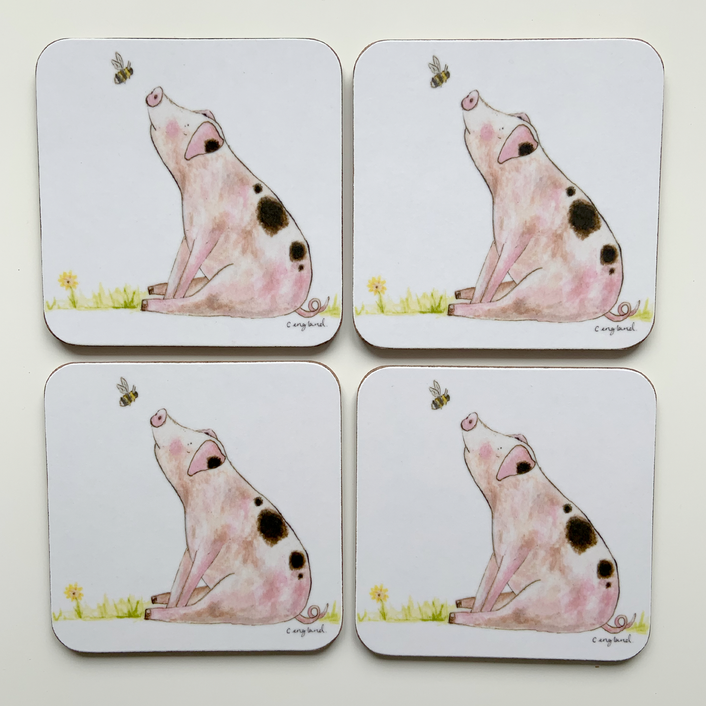 Pig Coasters Pack of 4