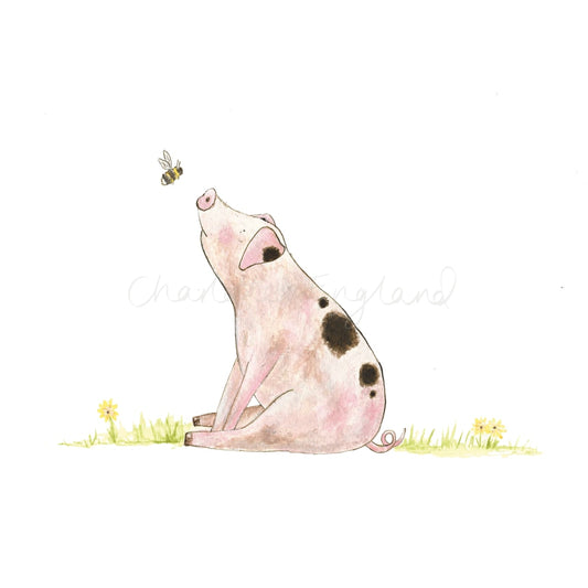 Pig - Charlotte England Artist