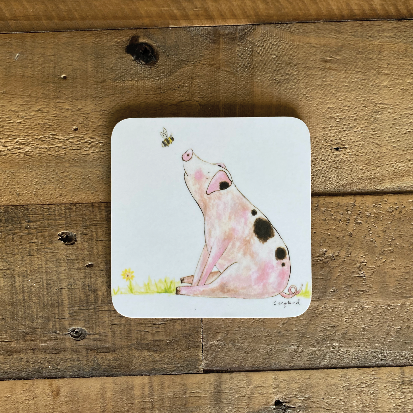 Pig Coasters Pack of 4