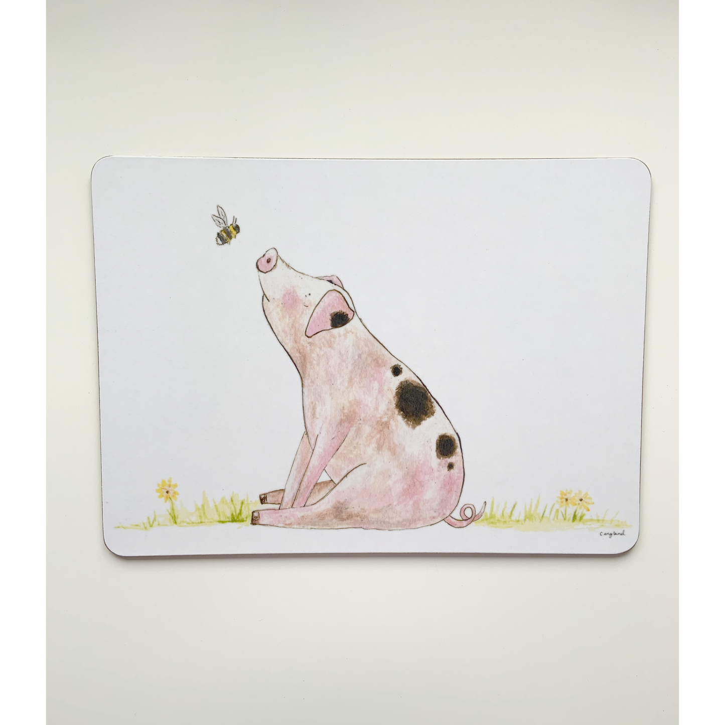 Pig Placemats Pack of 4