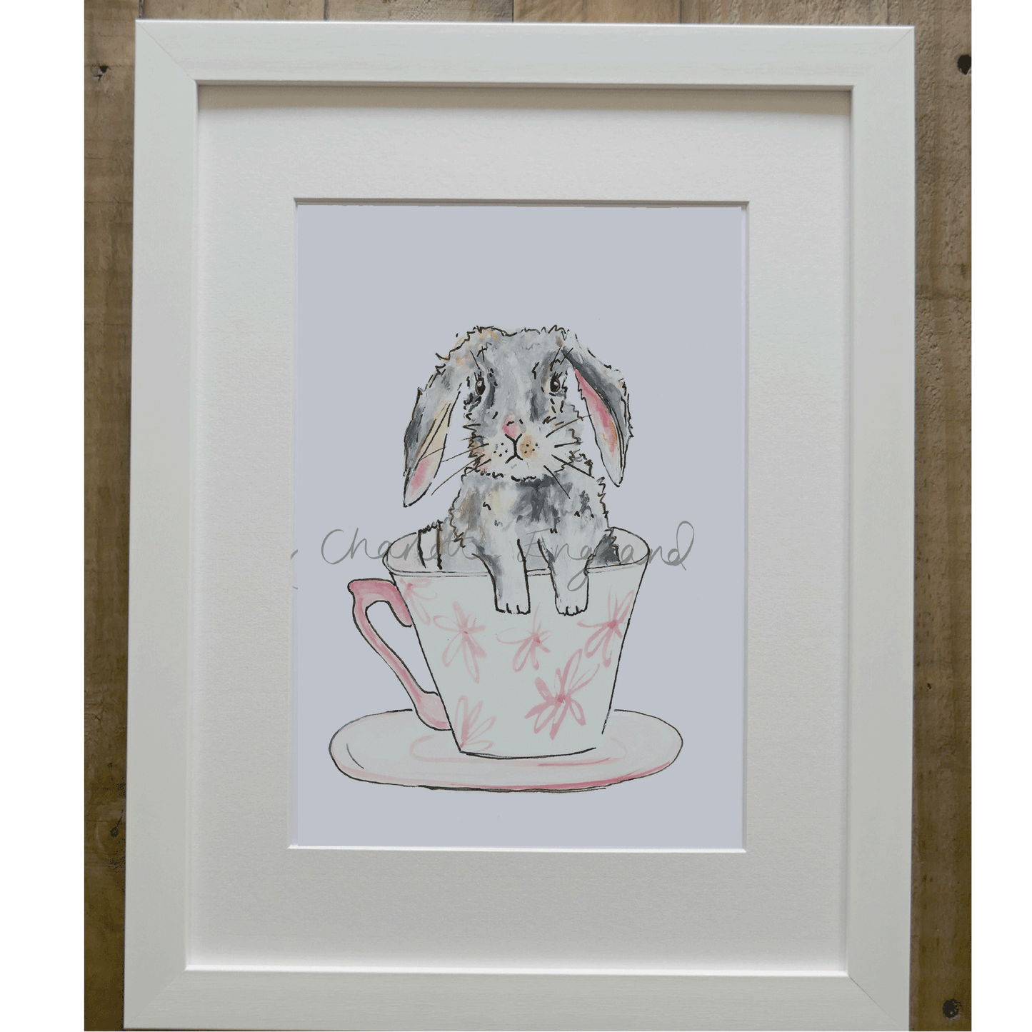 Tea Cup Bunny