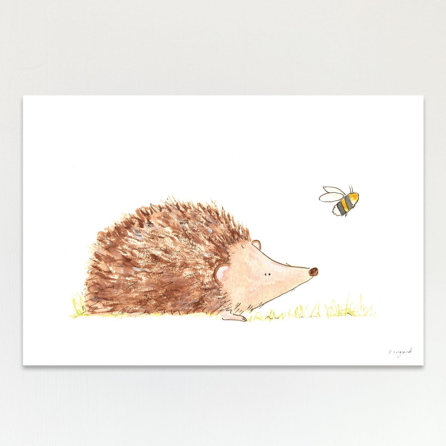 Hedgehog and Bee
