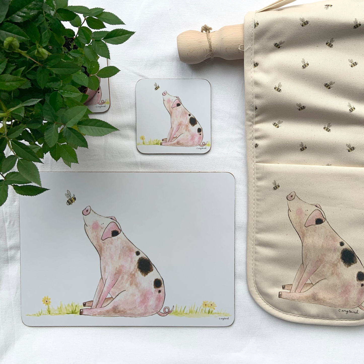 Pig Placemats Pack of 4