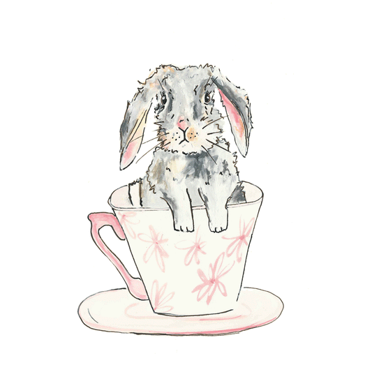 Tea Cup Bunny