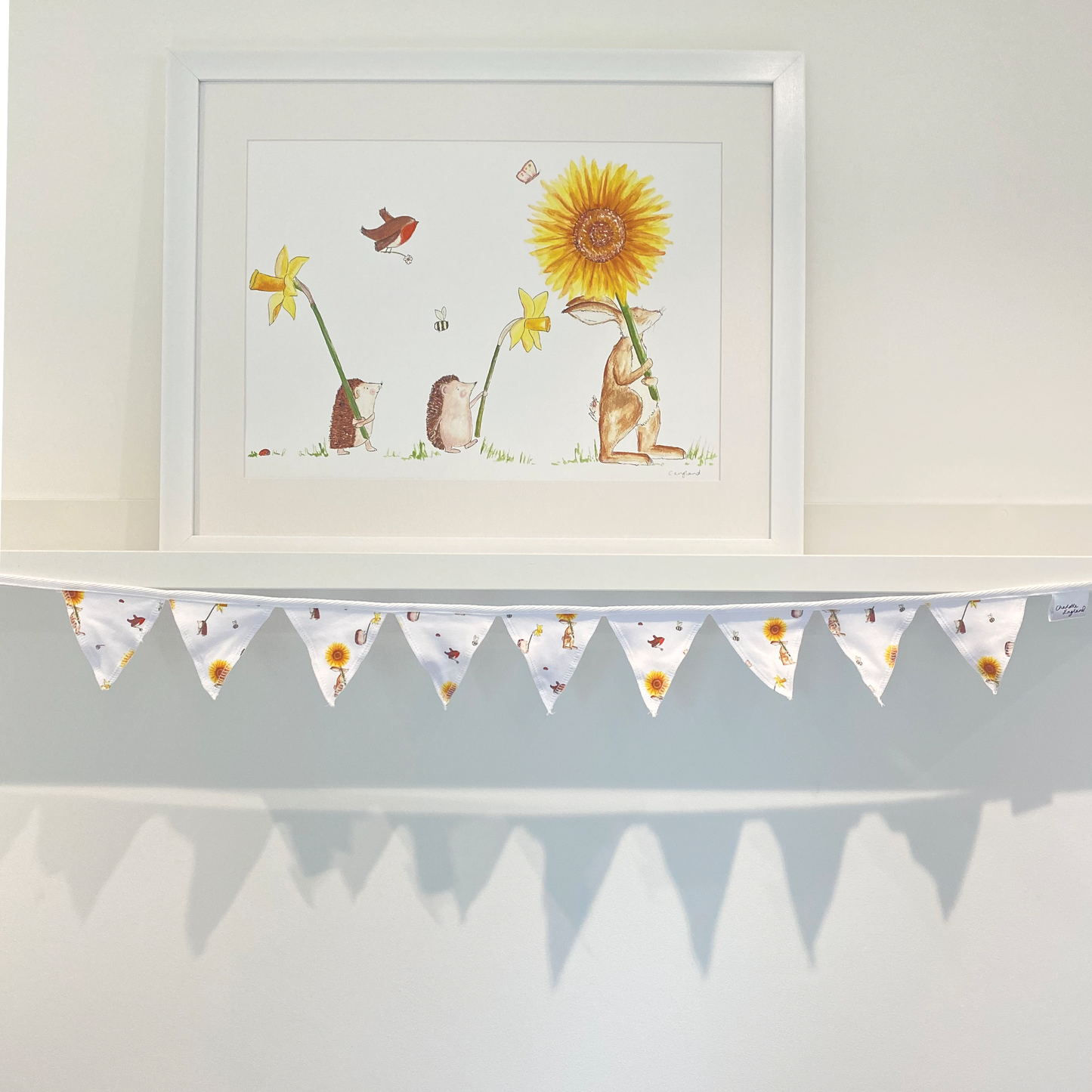 Off to the Flower Show Baby Bunting