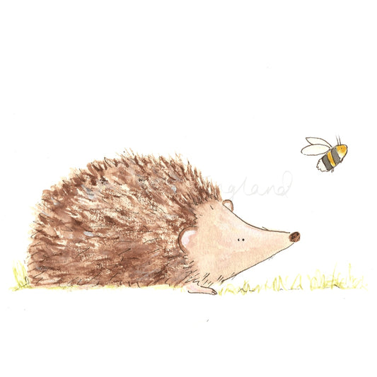 Hedgehog and Bee - Charlotte England Artist