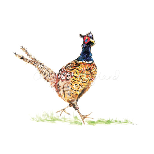 Jolly Pheasant - Charlotte England Artist