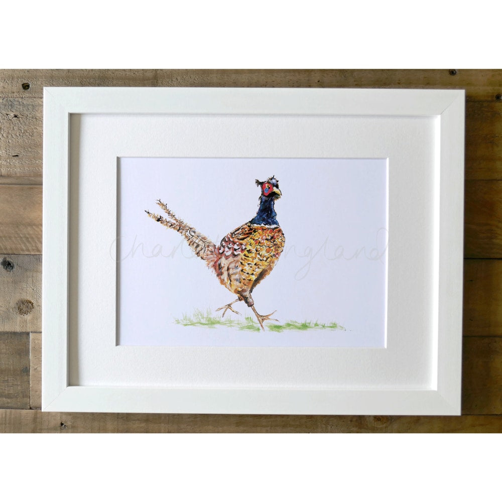 Jolly Pheasant - Charlotte England Artist
