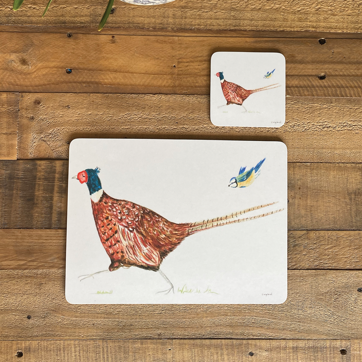 Pheasant Feather Friends Placemats Pack of 4