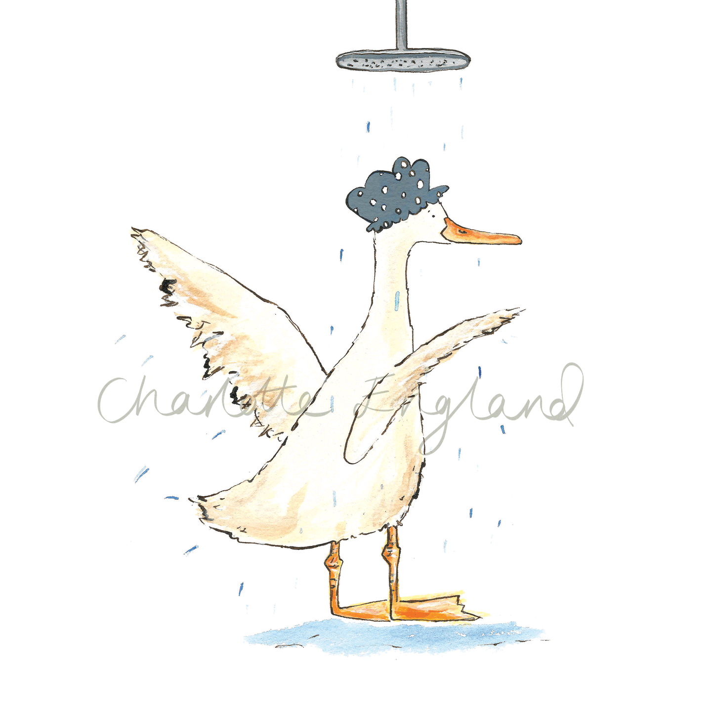 Shower Duck