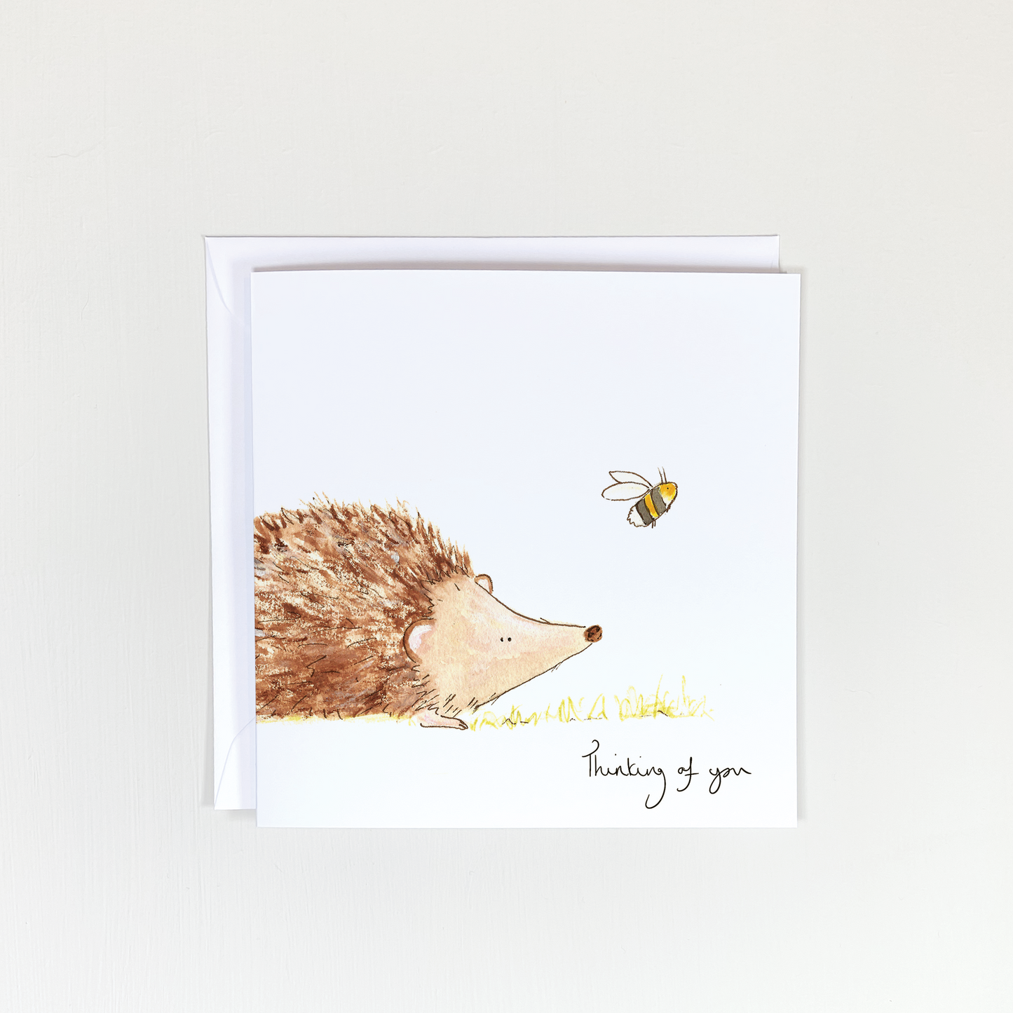 Thinking Of You Hedgehog and Bee Card